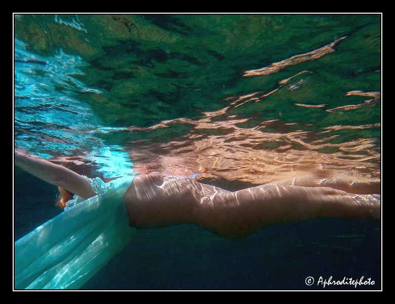 20 Reflets aquatiques